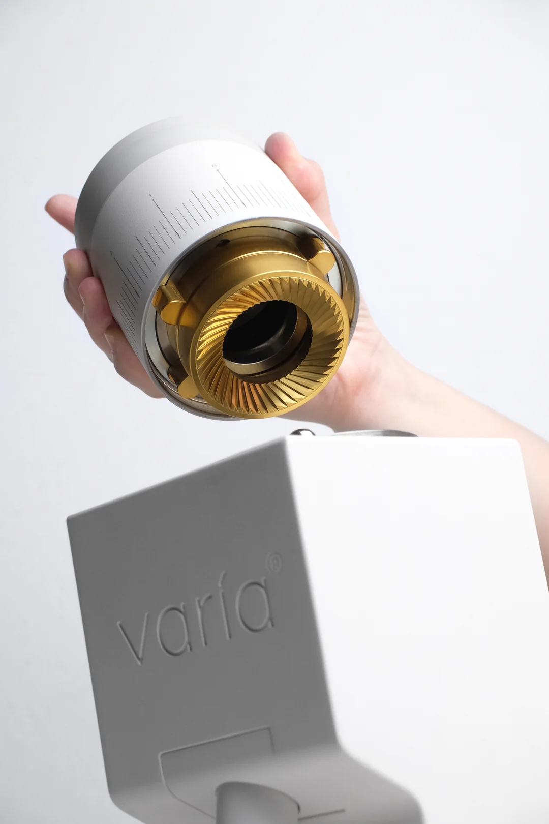 Supernova Gold Titanium Coated 58mm Flat Burrs for VS6 Grinder - Image 4